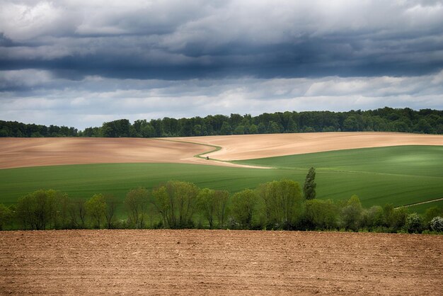 Foto vista panoramica della fattoria contro il cielo