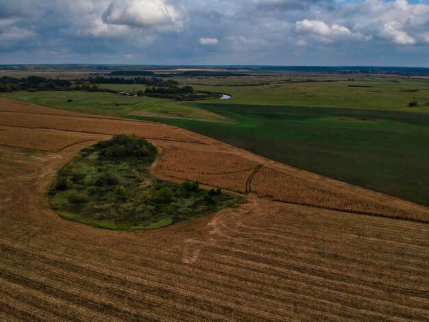 Scenic view of farm against sky