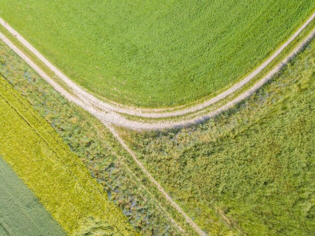 Scenic view of farm