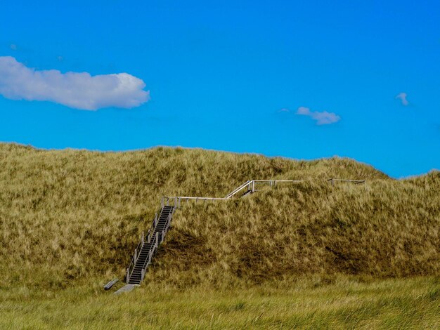 Scenic view of field against blue sky