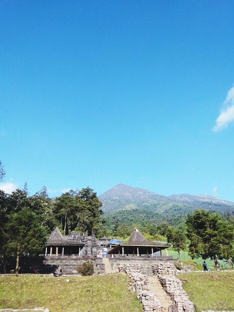 Scenic view of field against blue sky