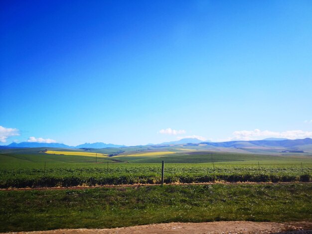 Scenic view of field against blue sky