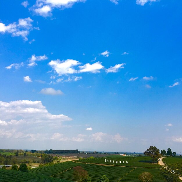 Scenic view of field against blue sky