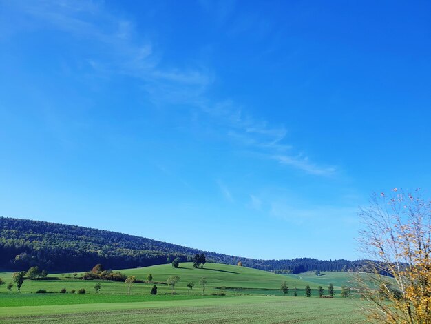 Photo scenic view of field against blue sky