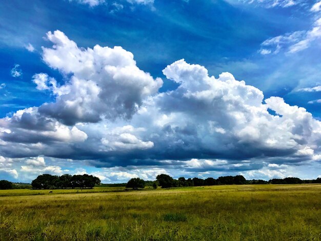 Scenic view of field against blue sky