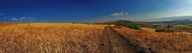 Scenic view of field against blue sky