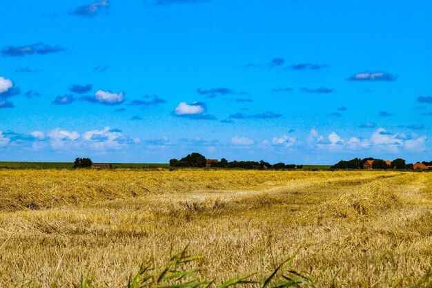 Photo scenic view of field against blue sky