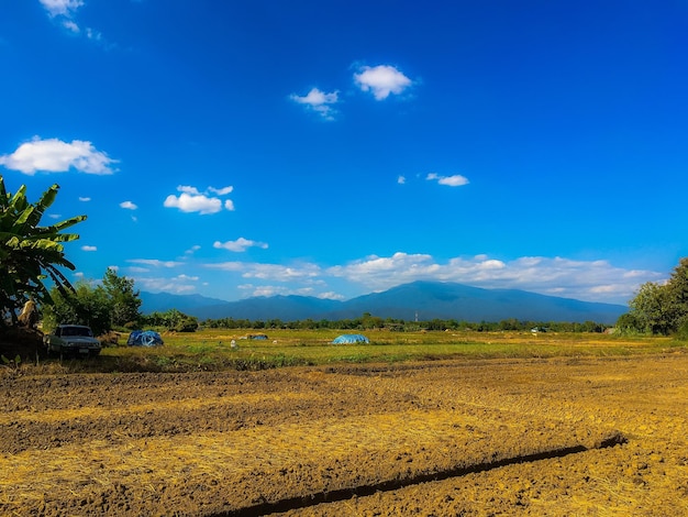 Scenic view of field against blue sky