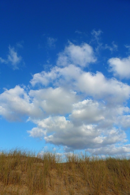 Foto vista panoramica del campo contro il cielo blu