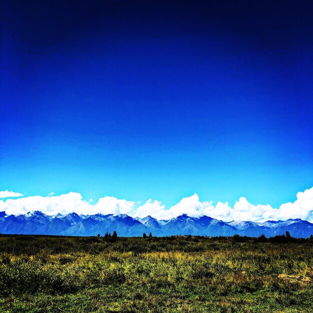 Scenic view of field against blue sky