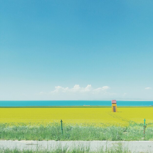 Photo scenic view of field against blue sky