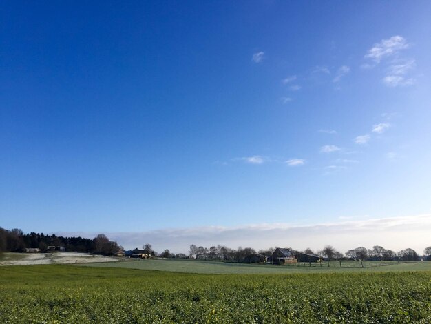 Scenic view of field against blue sky