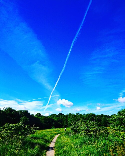 Scenic view of field against blue sky