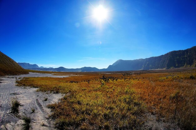 Scenic view of field against blue sky