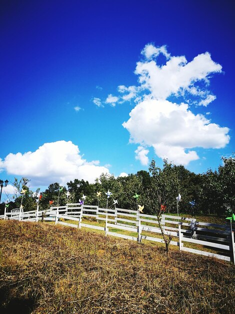 Scenic view of field against blue sky