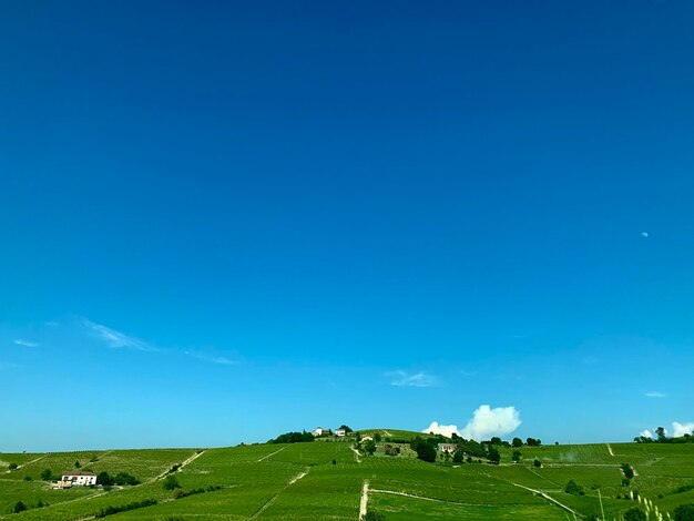 Scenic view of field against blue sky