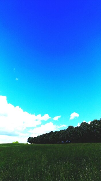 Scenic view of field against blue sky