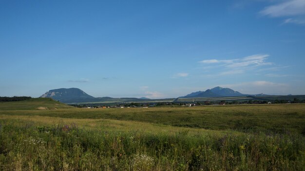 Scenic view of field against blue sky