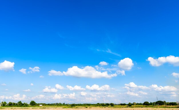 Scenic view of field against blue sky