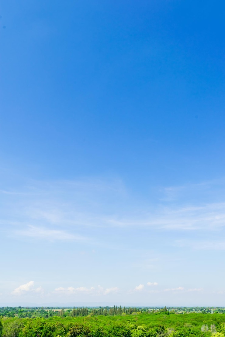 Photo 青い空を背景に野原の景色