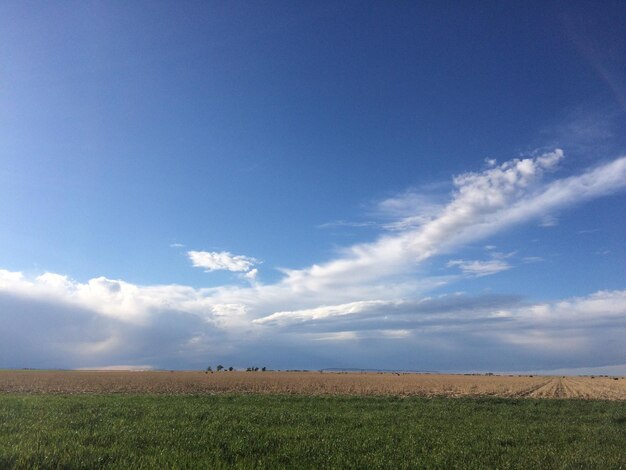 Scenic view of field against blue sky