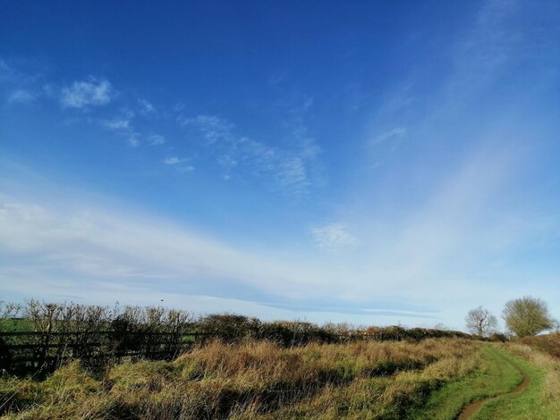 Scenic view of field against blue sky