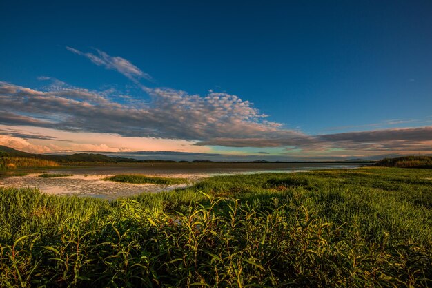 Foto vista panoramica del campo contro il cielo blu