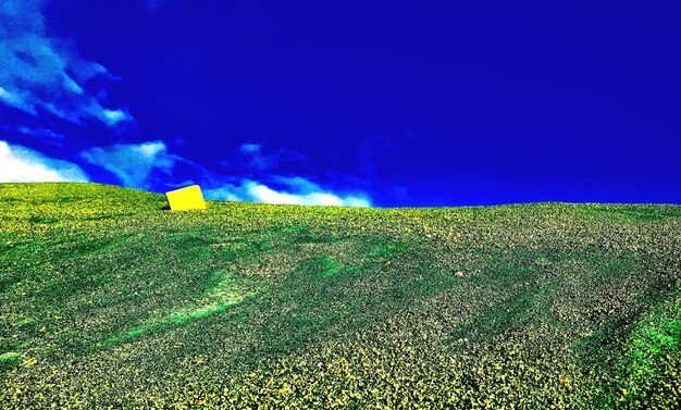 Scenic view of field against blue sky