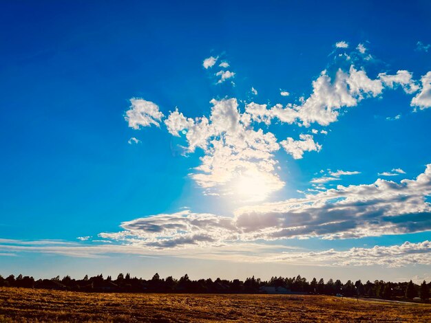 Scenic view of field against blue sky