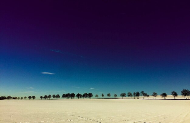 Scenic view of field against clear blue sky during winter