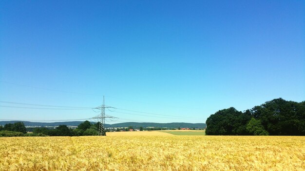 Scenic view of field against clear blue sky