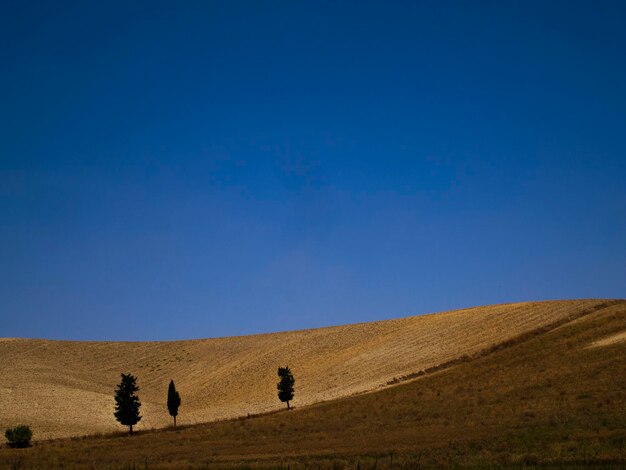 Scenic view of field against clear blue sky