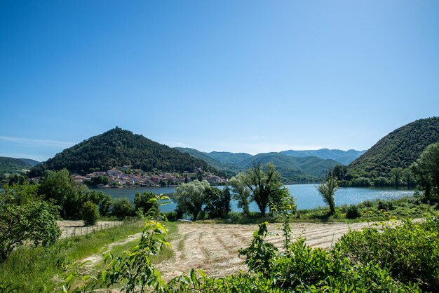 Scenic view of field against clear blue sky