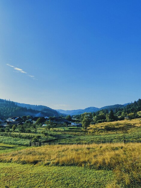 Foto vista panoramica del campo contro un cielo blu limpido