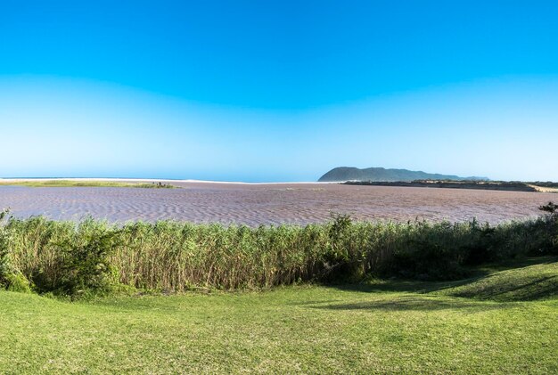 Scenic view of field against clear blue sky