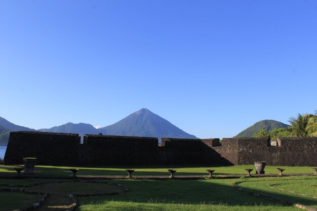 Scenic view of field against clear blue sky