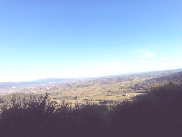 Scenic view of field against clear blue sky