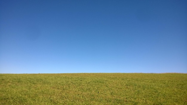 Photo scenic view of field against clear blue sky