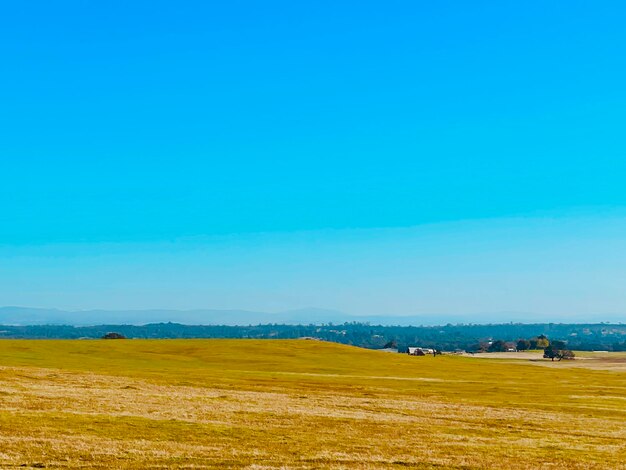 Scenic view of field against clear blue sky