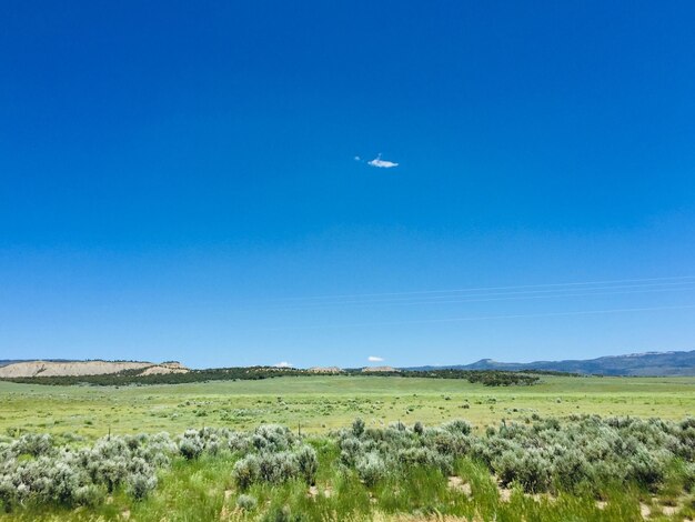 Foto vista panoramica del campo contro un cielo blu limpido