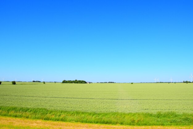 Scenic view of field against clear blue sky