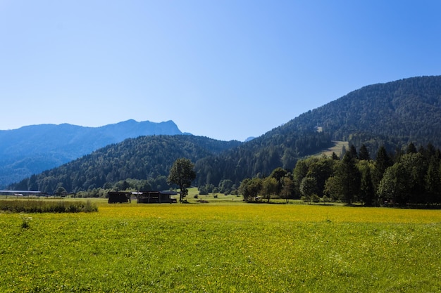 scenic view of field against clear blue sky