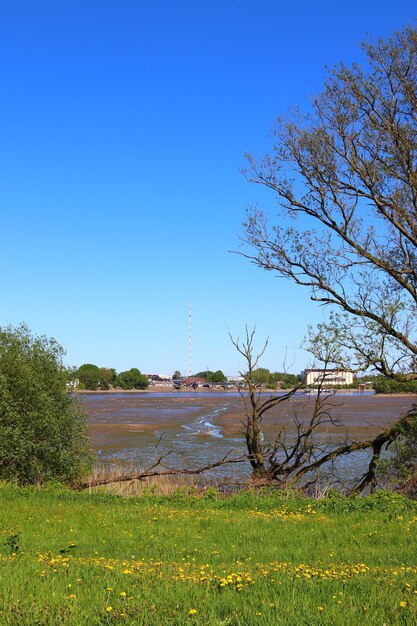 Scenic view of field against clear blue sky