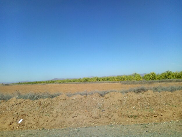 Scenic view of field against clear blue sky