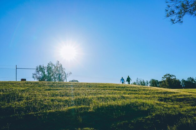 Photo scenic view of field against clear blue sky