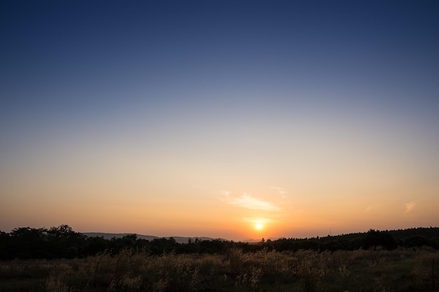 Scenic view of field against clear sky during sunset