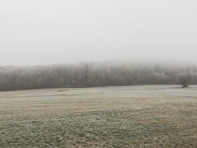 Scenic view of field against clear sky during winter