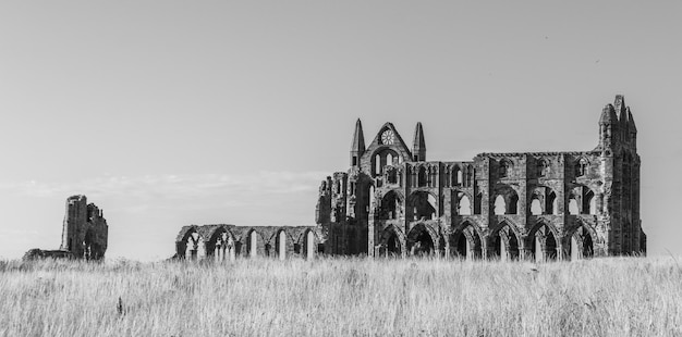 Foto vista panoramica del campo contro un cielo limpido con l'abbazia di whitby