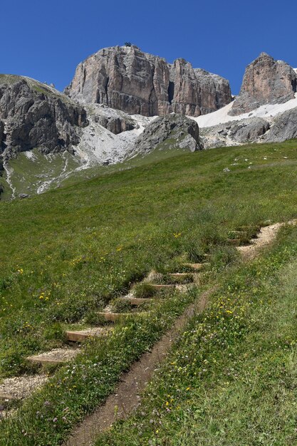 Foto vista panoramica del campo contro un cielo limpido