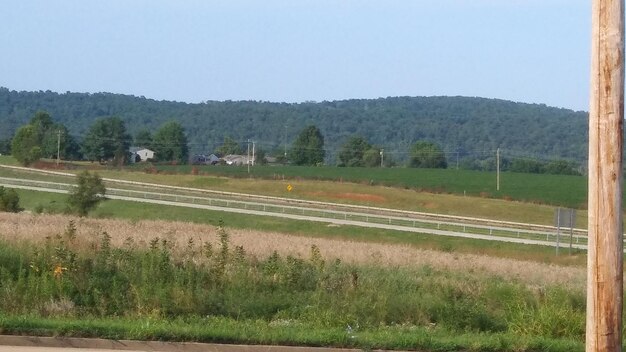 Scenic view of field against clear sky